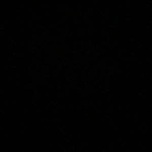 Meet your Posher, Eva